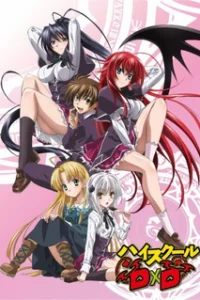 Старшая школа DxD